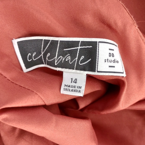 Satin Ruffle High Low David's Bridal Dress Cinnamon size 14 - Picture 8 of 8